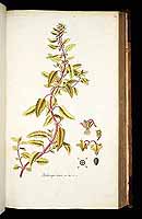  no thumbnail available