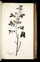  no thumbnail available