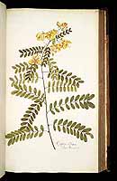  no thumbnail available