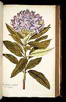  no thumbnail available