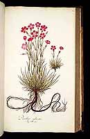  no thumbnail available