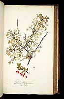  no thumbnail available