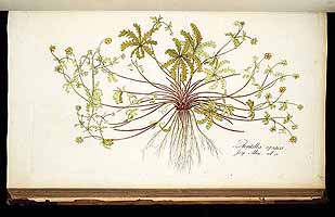  no thumbnail available