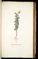  no thumbnail available