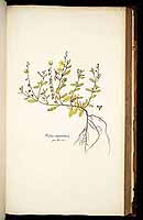  no thumbnail available