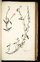  no thumbnail available