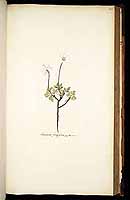  no thumbnail available