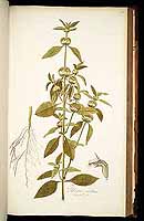  no thumbnail available