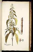  no thumbnail available