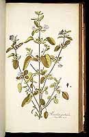  no thumbnail available