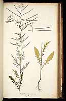  no thumbnail available