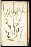  no thumbnail available