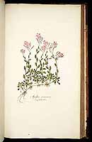  no thumbnail available