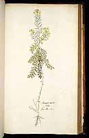  no thumbnail available