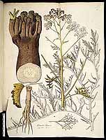  no thumbnail available