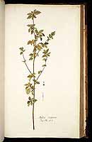  no thumbnail available