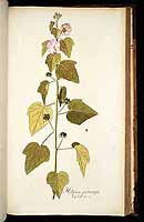  no thumbnail available