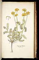  no thumbnail available