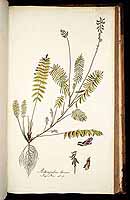  no thumbnail available