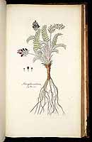  no thumbnail available