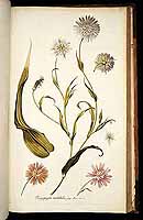  no thumbnail available