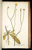  no thumbnail available