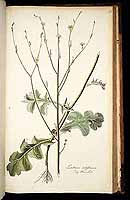  no thumbnail available