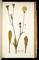  no thumbnail available