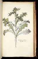  no thumbnail available