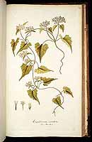  no thumbnail available