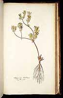  no thumbnail available