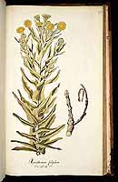  no thumbnail available