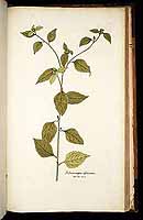  no thumbnail available