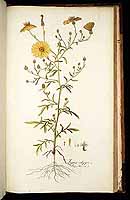  no thumbnail available