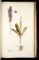  no thumbnail available