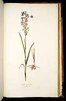  no thumbnail available