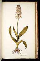  no thumbnail available