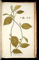  no thumbnail available