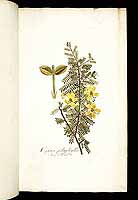  no thumbnail available