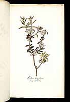  no thumbnail available