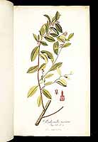  no thumbnail available