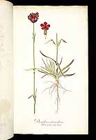  no thumbnail available