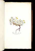  no thumbnail available