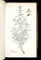  no thumbnail available