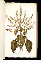  no thumbnail available