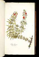  no thumbnail available