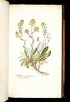  no thumbnail available