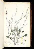  no thumbnail available