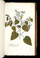  no thumbnail available