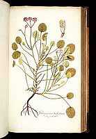  no thumbnail available